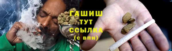 прущий лед Алзамай
