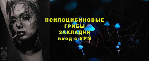 прущий лед Алзамай