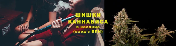 PSILOCYBIN Алексин