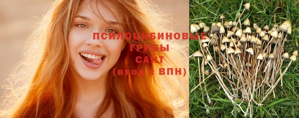 PSILOCYBIN Алексин