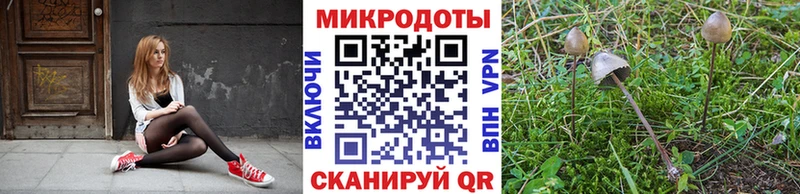 Псилоцибиновые грибы MAGIC MUSHROOMS  kraken ONION  Тайшет 