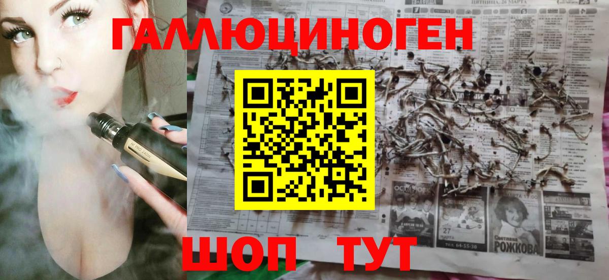 Псилоцибиновые грибы GOLDEN TEACHER  Вход с VPN  Тайшет 