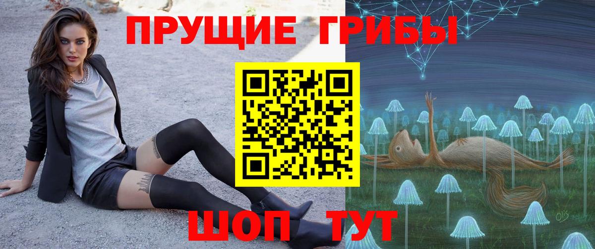 Галлюциногенные грибы прущие грибы Тайшет