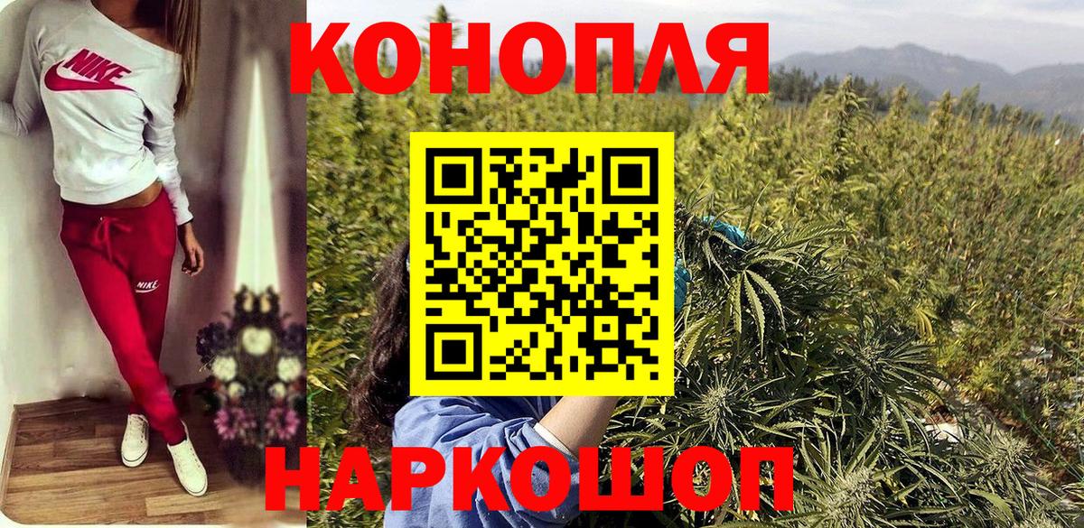 Марихуана марихуана  Шишки марихуана план  Бошки марихуана сатива  Тайшет  Вход с VPN 